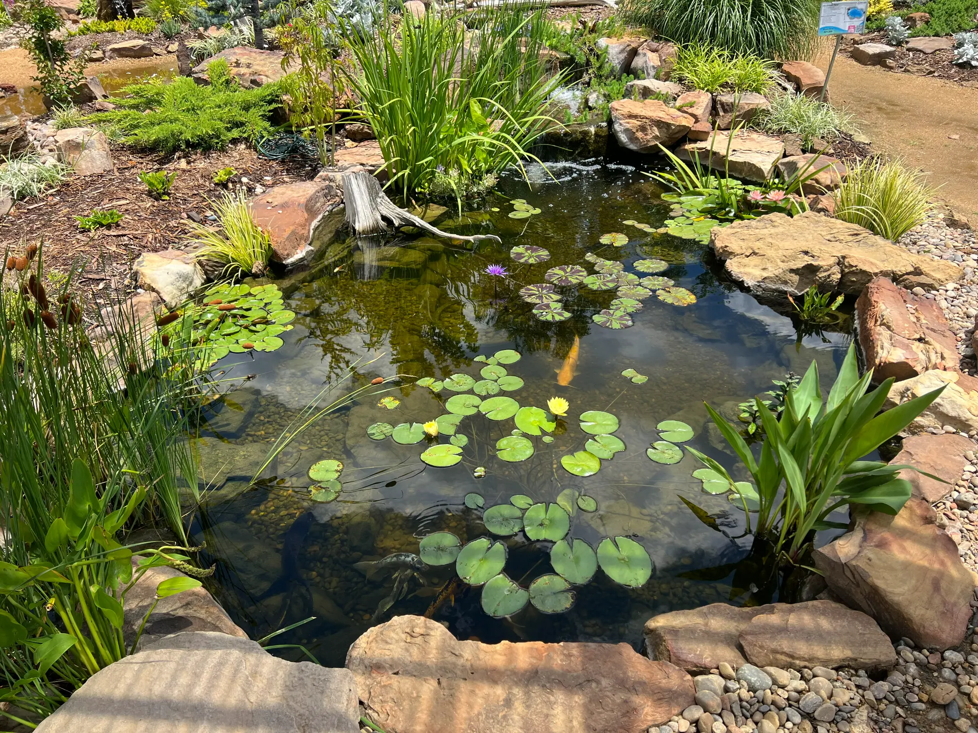 Display Pond Oklahoma Ponds