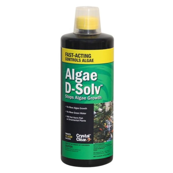 D-solv Liquid Algaecide- 32oz