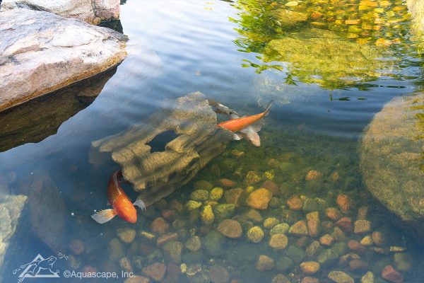 Aquascape Faux Log Fish Safety Cave - Image 2